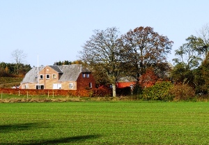 Korupvej 25